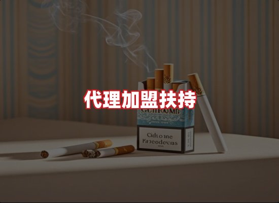专业团队